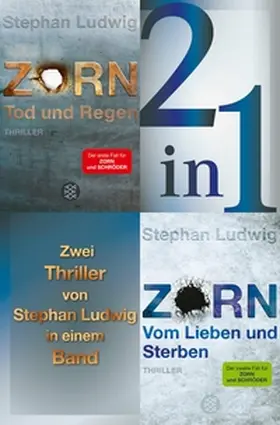 Ludwig |  Tod und Regen / Vom Lieben und Sterben - Zwei Zorn-Thriller in einem Band | eBook | Sack Fachmedien
