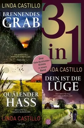 Castillo |  Brennendes Grab / Quälender Hass / Dein ist die Lüge - Drei Kate-Burkholder-Krimis in einem Band | eBook | Sack Fachmedien