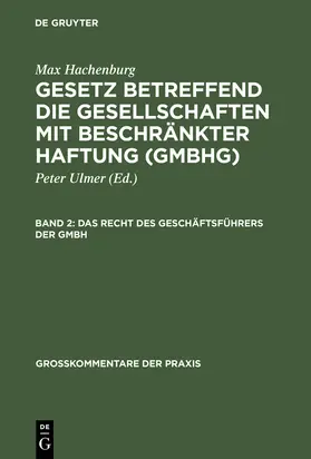 Stein / Mertens |  Das Recht des Geschäftsführers der GmbH | Buch |  Sack Fachmedien