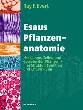 Evert / Langenfeld-Heyser | Esaus Pflanzenanatomie | Buch | 978-3-11-020592-3 | sack.de