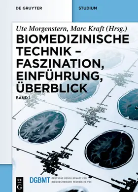 Morgenstern / Kraft |  Faszination, Einführung, Überblick | eBook | Sack Fachmedien