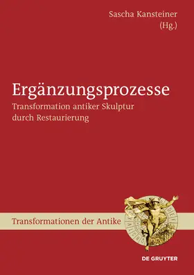 Kansteiner |  Ergänzungsprozesse | Buch |  Sack Fachmedien