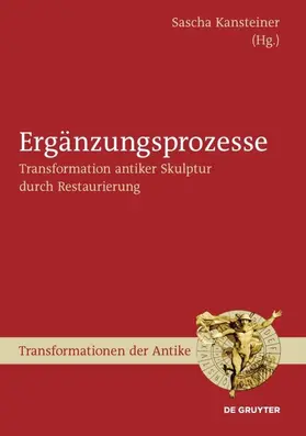 Kansteiner | Ergänzungsprozesse | E-Book | sack.de