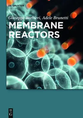Barbieri / Brunetti |  Membrane Reactors | Buch |  Sack Fachmedien