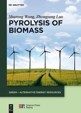 Wang / Luo | Pyrolysis of Biomass | E-Book | sack.de