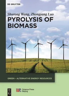 Wang / Luo | Pyrolysis of Biomass | Buch | 978-3-11-037457-5 | sack.de