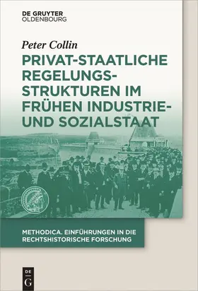 Collin |  Privat-staatliche Regelungsstrukturen im frühen Industrie- und Sozialstaat | Buch |  Sack Fachmedien