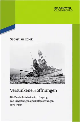 Rojek |  Versunkene Hoffnungen | Buch |  Sack Fachmedien