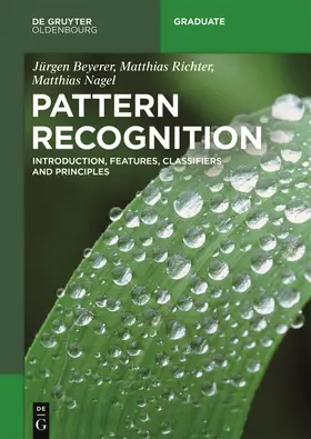 Beyerer / Richter / Nagel | Pattern Recognition | Buch | 978-3-11-053793-2 | sack.de