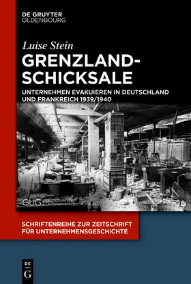 Stein |  Grenzlandschicksale | Buch |  Sack Fachmedien