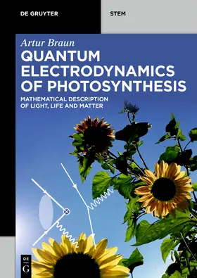 Braun |  Quantum Electrodynamics of Photosynthesis | Buch |  Sack Fachmedien