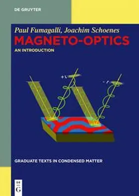 Fumagalli / Schoenes |  Magneto-optics | Buch |  Sack Fachmedien