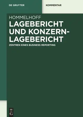 Hommelhoff |  Lagebericht und Konzernlagebericht | Buch |  Sack Fachmedien