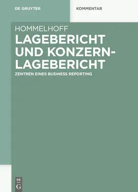 Hommelhoff |  Lagebericht und Konzernlagebericht | eBook | Sack Fachmedien