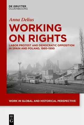 Delius |  Working on Rights | Buch |  Sack Fachmedien