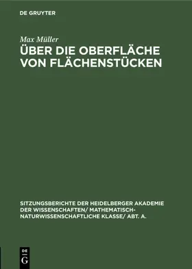 Müller |  Über die Oberfläche von Flächenstücken | Buch |  Sack Fachmedien