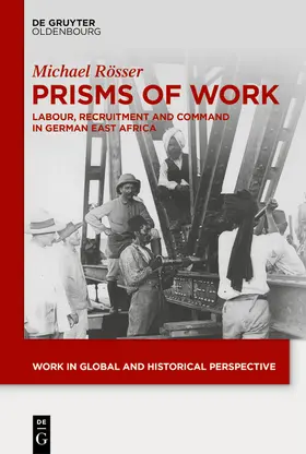 Rösser |  Prisms of Work | Buch |  Sack Fachmedien