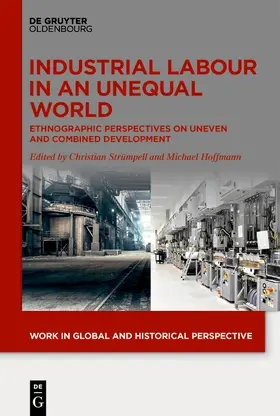 Strümpell / Hoffmann | Industrial Labour in an Unequal World | E-Book | sack.de