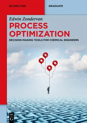 Zondervan |  Process Optimization | Buch |  Sack Fachmedien