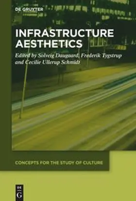 Daugaard / Schmidt / Tygstrup |  Infrastructure Aesthetics | Buch |  Sack Fachmedien