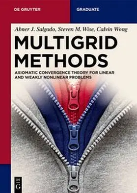 Salgado / Wise / Wong | Multigrid Methods | E-Book | www2.sack.de