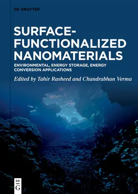 Rasheed / Verma |  Surface-Functionalized Nanomaterials | eBook | Sack Fachmedien