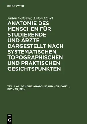 Waldeyer / Mayet | Allgemeine Anatomie, Rücken, Bauch, Becken, Bein | E-Book | sack.de