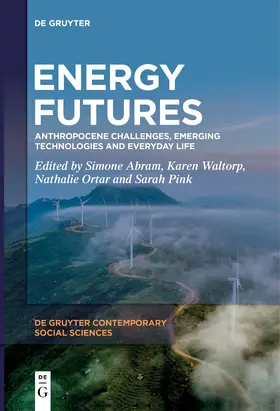 Abram / Pink / Waltorp |  Energy Futures | Buch |  Sack Fachmedien