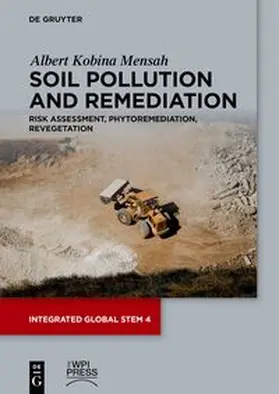 Mensah |  Soil Pollution and Remediation | eBook | Sack Fachmedien