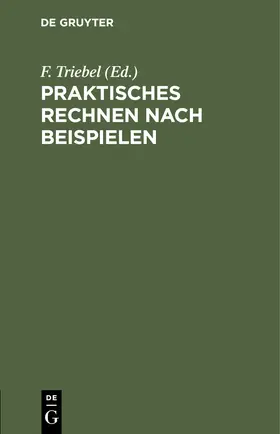 Triebel |  Praktisches Rechnen nach Beispielen | Buch |  Sack Fachmedien