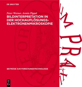 Hillebrand / Scheerschmidt / Neumann |  Bildinterpretation in der Hochauflösungs-Elektronenmikroskopie | eBook | Sack Fachmedien