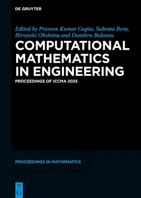 Gupta / Bera / Ohshima |  Computational Mathematics in Engineering | Buch |  Sack Fachmedien