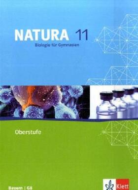  Natura Biologie für Gymnasien. Schülerband 11. Schuljahr. G8. Ausgabe für Bayern | Buch |  Sack Fachmedien