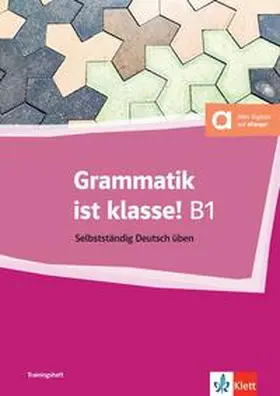 Dammann / Fleer / Schnack |  Grammatik ist klasse! B1 | Buch |  Sack Fachmedien