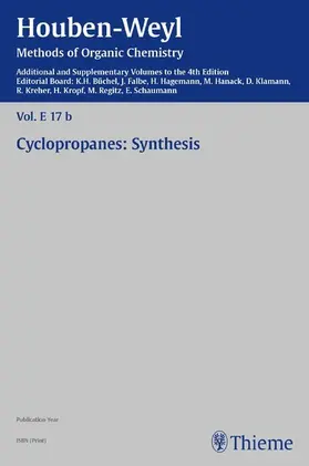 de Meijere / Vilsmaier / Büchel |  Houben-Weyl Methods of Organic Chemistry Vol. E 17b, 4th Edition Supplement | eBook | Sack Fachmedien