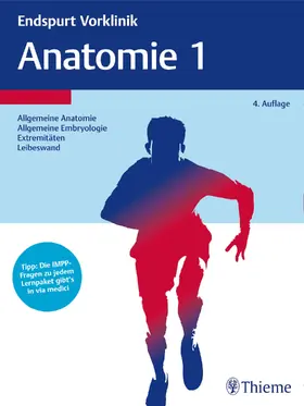  Endspurt Vorklinik: Anatomie 1 | Buch |  Sack Fachmedien