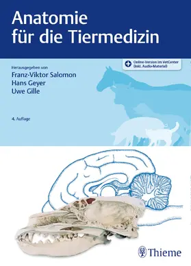 Salomon / Geyer / Gille |  Anatomie für die Tiermedizin | eBook | Sack Fachmedien