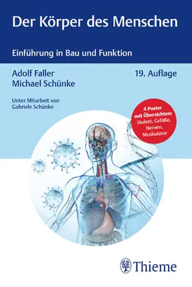 Schünke / Faller | Der Körper des Menschen | Buch | 978-3-13-243934-4 | sack.de