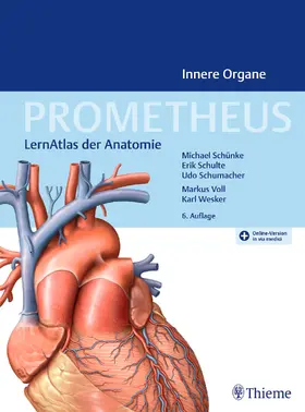 Schünke / Schulte / Schumacher |  PROMETHEUS Innere Organe | Buch |  Sack Fachmedien