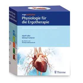 Schünke / Faller |  ergoLernkarten - Physiologie für die Ergotherapie | Buch |  Sack Fachmedien