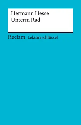 Hesse / Patzer |  Hermann Hesse: Unterm Rad | eBook | Sack Fachmedien