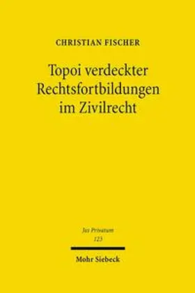 Fischer |  Topoi verdeckter Rechtsfortbildungen im Zivilrecht | Buch |  Sack Fachmedien