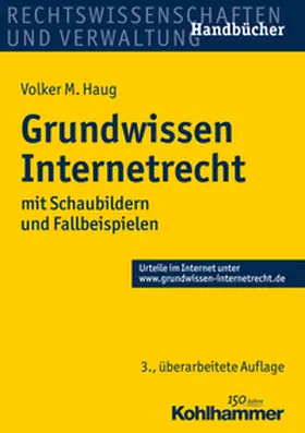 Haug |  Grundwissen Internetrecht | eBook | Sack Fachmedien