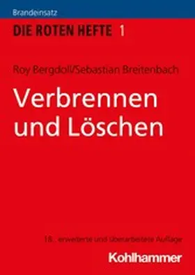 Bergdoll / Breitenbach |  Verbrennen und Löschen | eBook | Sack Fachmedien