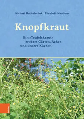 Machatschek / Mauthner |  Das Knopfkraut | Buch |  Sack Fachmedien