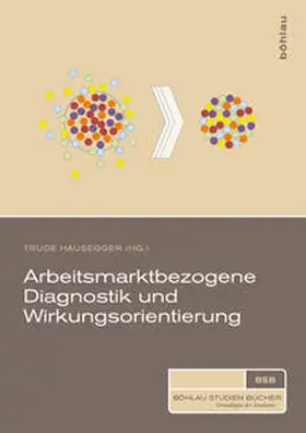 Hausegger |  Arbeitsmarktbezogene Diagnostik und Wirkungsorientierung | Buch |  Sack Fachmedien