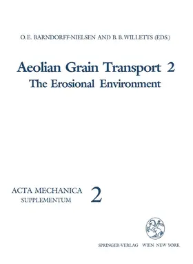 Barndorff-Nielsen / Willetts |  Aeolian Grain Transport | Buch |  Sack Fachmedien