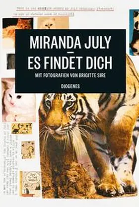 July |  Es findet dich | Buch |  Sack Fachmedien