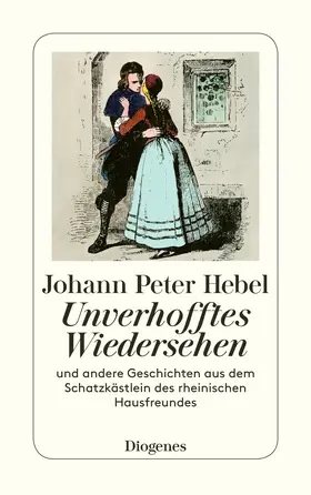Hebel / Stephan |  Unverhofftes Wiedersehen | Buch |  Sack Fachmedien