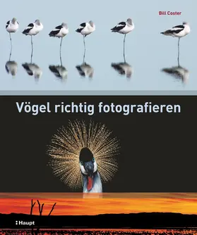 Coster / Papps |  Vögel richtig fotografieren | Buch |  Sack Fachmedien